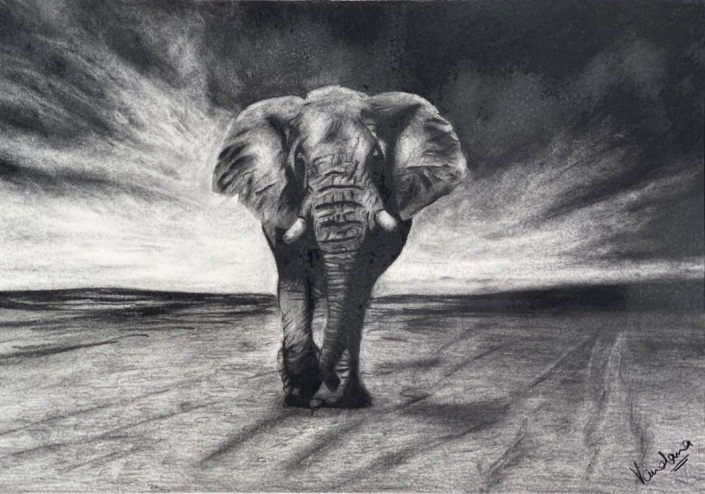 Elephant in the Clouds – On the Move, Always