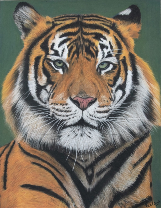 The Majestic Tiger
