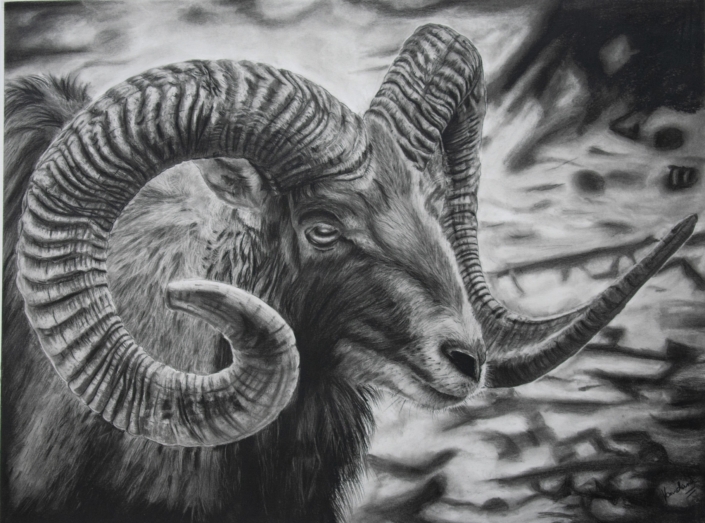 RAM Sheep – And it’s Okay