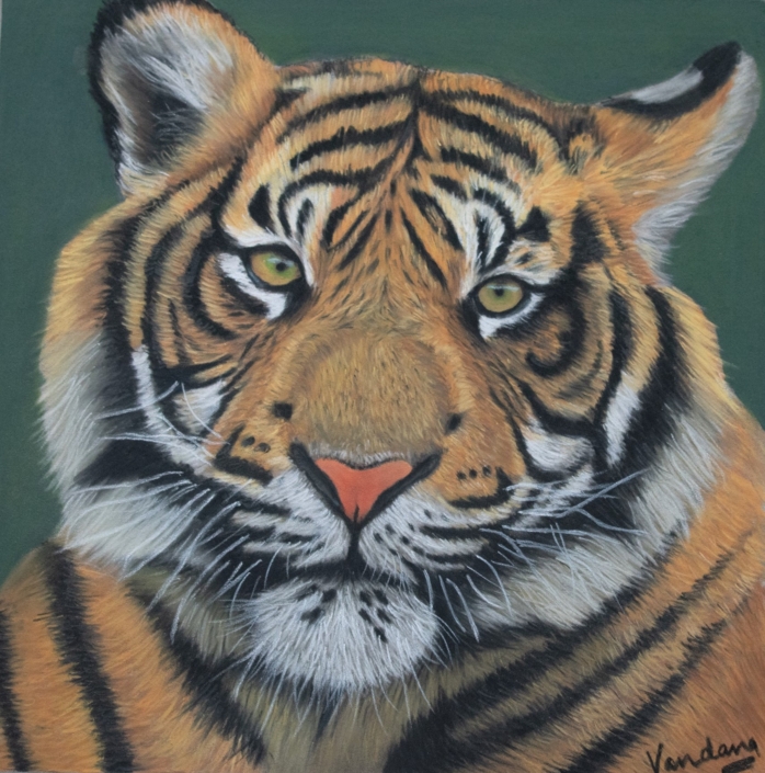 Tiger – Persistence, Patience & Belief Tiger – Persistence, Patience & Belief