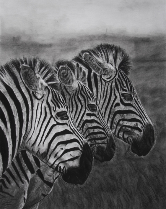 African Serenade: Trio of Zebras