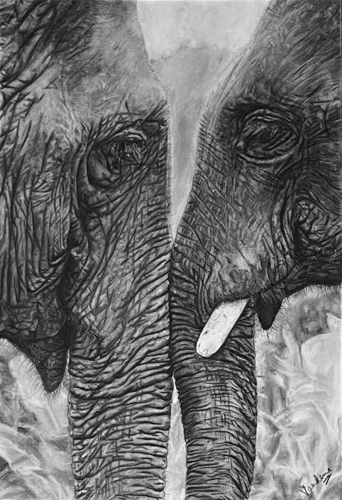 Tender Tusks: Wild Love
