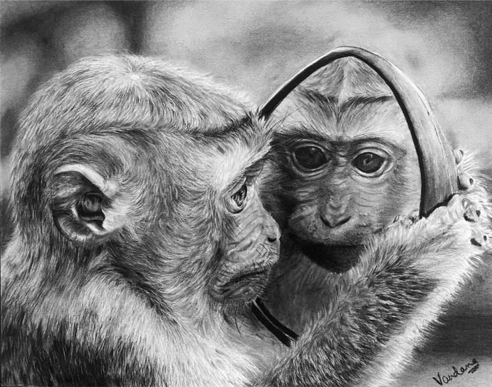 Monkey’s Reflective Gaze