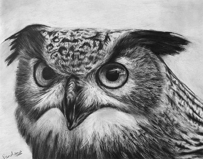 Owl: The Ancient Observer