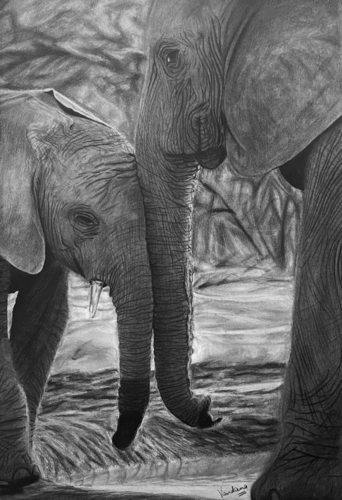 Maternal Bond: Elephant Pair