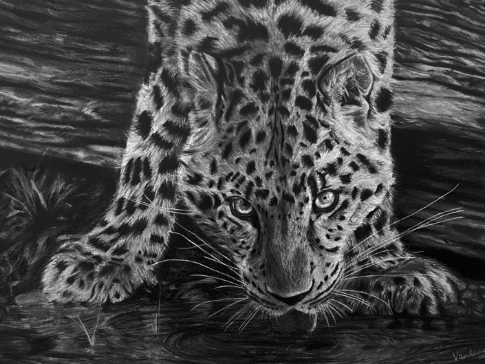 Leopard’s Quench
