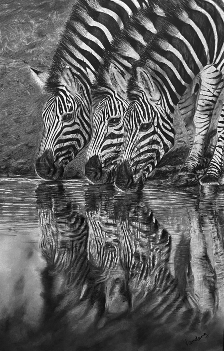Zebras Sipping Serenity